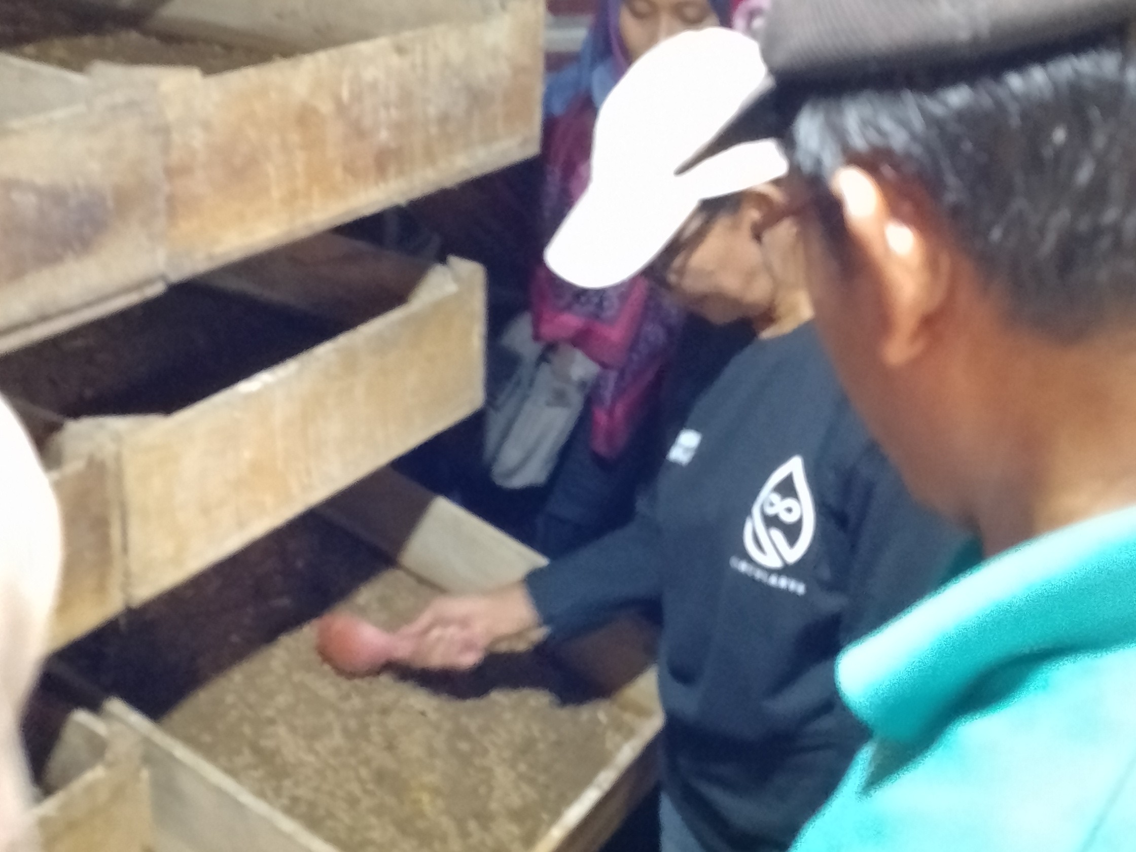 SRIKANDI MAGGOT